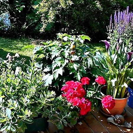 Alpinferienwohnung Neuhuber Апартаменты Бад Гоисерн