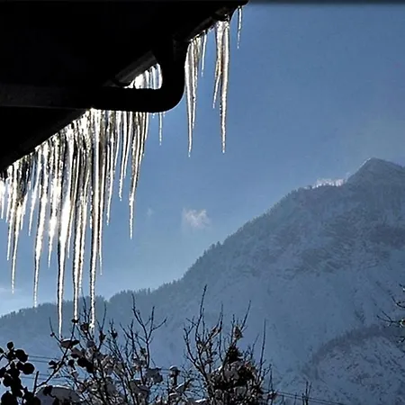 Apartment Alpinferienwohnung Neuhuber