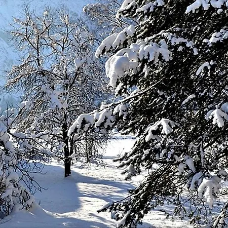 Alpinferienwohnung Neuhuber - Salzkammergut Bad Goisern