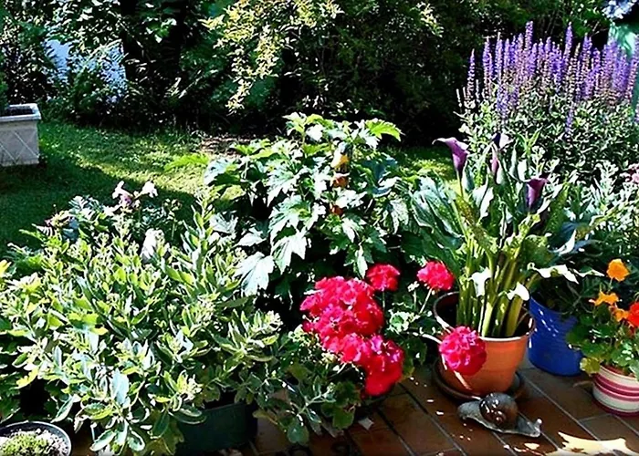 Alpinferienwohnung Neuhuber - Salzkammergut アパート バート・ゴイーザーン