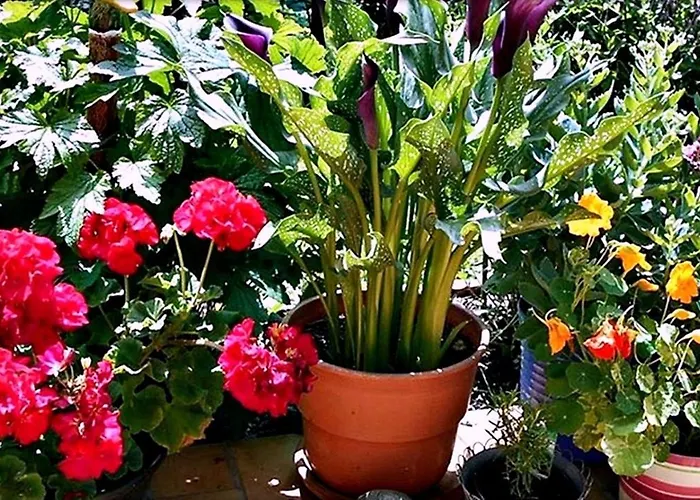 Alpinferienwohnung Neuhuber - Salzkammergut バート・ゴイーザーン