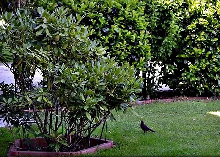 Alpinferienwohnung Neuhuber *