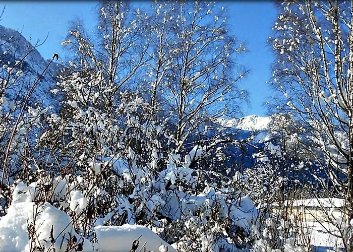 Διαμέρισμα Alpinferienwohnung Neuhuber - Salzkammergut Bad Goisern