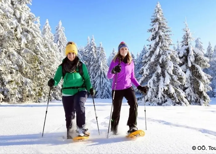 Διαμέρισμα Alpinferienwohnung Neuhuber - Salzkammergut *