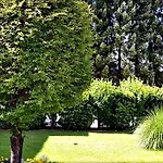 Апартаменты Alpinferienwohnung Neuhuber - Salzkammergut *