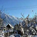 Alpinferienwohnung Neuhuber - Salzkammergut Апартаменты *
