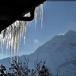Апартаменты Alpinferienwohnung Neuhuber - Salzkammergut