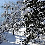 Alpinferienwohnung Neuhuber - Salzkammergut Бад Гоисерн
