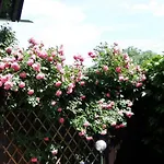 Alpinferienwohnung Neuhuber - Salzkammergut * Бад Гоисерн