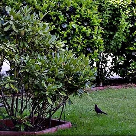 Alpinferienwohnung Neuhuber *