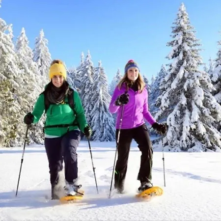 Apartmán Alpinferienwohnung Neuhuber - Salzkammergut *