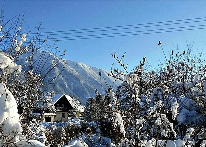 Alpinferienwohnung Neuhuber - Salzkammergut Appartement *