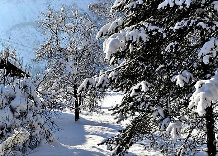 Alpinferienwohnung Neuhuber - Salzkammergut Bad Goisern