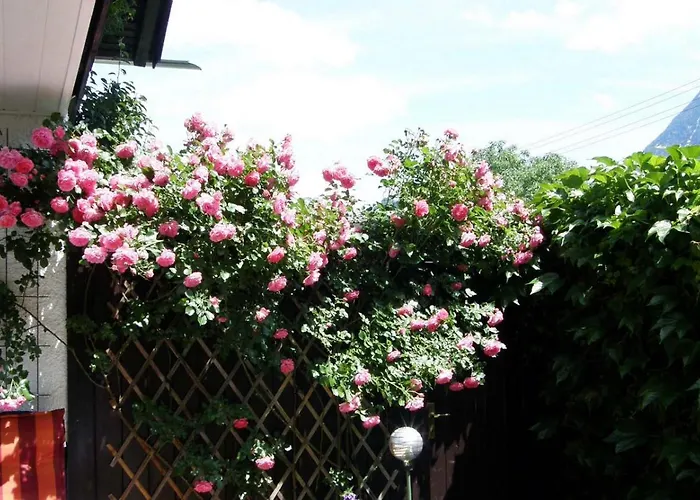 Alpinferienwohnung Neuhuber - Salzkammergut * Bad Goisern