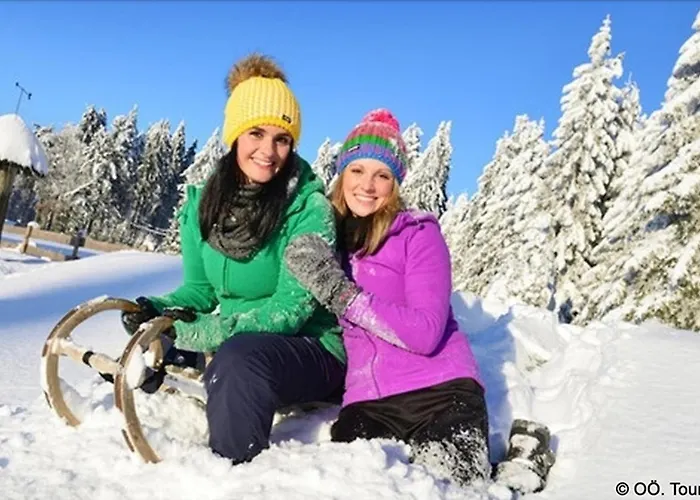 Alpinferienwohnung Neuhuber - Salzkammergut Appartement