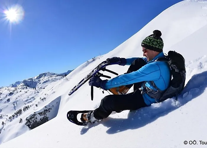 Appartement Alpinferienwohnung Neuhuber - Salzkammergut *