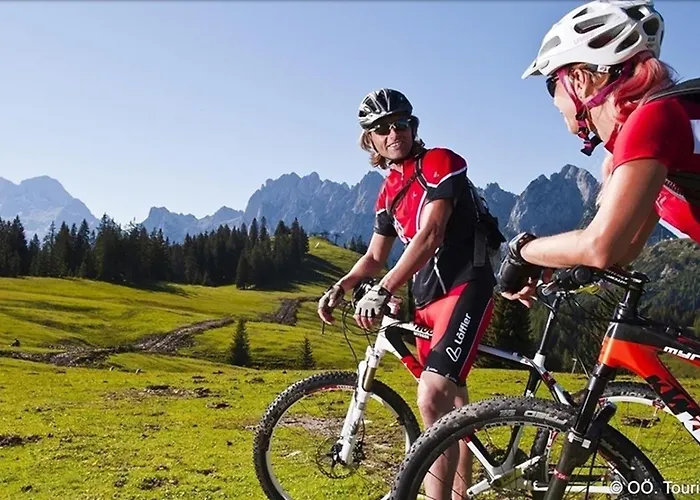 Appartement Alpinferienwohnung Neuhuber - Salzkammergut Bad Goisern